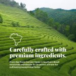 Life by Sublime – Serene USDA Organic Chamomile Tea, 20 Tea Bags, Caff…