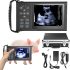 6 Head Massage Gun Deep Tissue with 9 Levels & 9 Modes, Electric Massa…