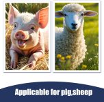 Portable Veterinary Ultrasound Machine M10 with 3.5 MHz Probe for Preg…