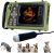 S0 Vet Ultrasound Machine for Pregnancy Veterinary Ultrasound Scanner …