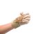 Sammons Preston Deluxe Traction Glove, Right Handed Exercise Glove, Re…