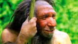 Study: Viking Disease is Partly of Neanderthal Origin