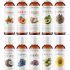 Dr. Tobias Digestive Enzymes with Probiotics, Prebiotics and Postbioti…