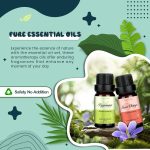 Top 6 Natural Aromatherapy Oils Gift Set, Essential Oils for Diffusers…