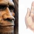 Disease That Permanently Bends Fingers Could Have Origins in Neanderthal Genes