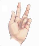 “Viking disease” hand disorder may come from Neandertal genes